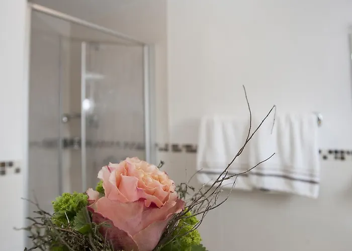 Guest house Haus Brieden 3*